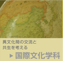 国際文化学科